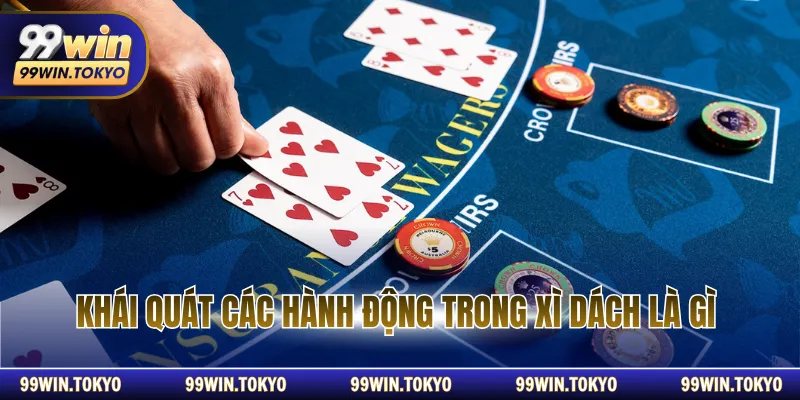 Khái quát các hành động trong xì dách là gì